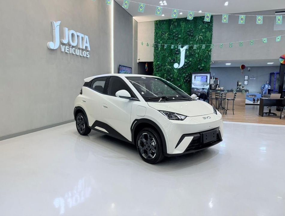 BYD Dolphin Mini GS (Elétrico)