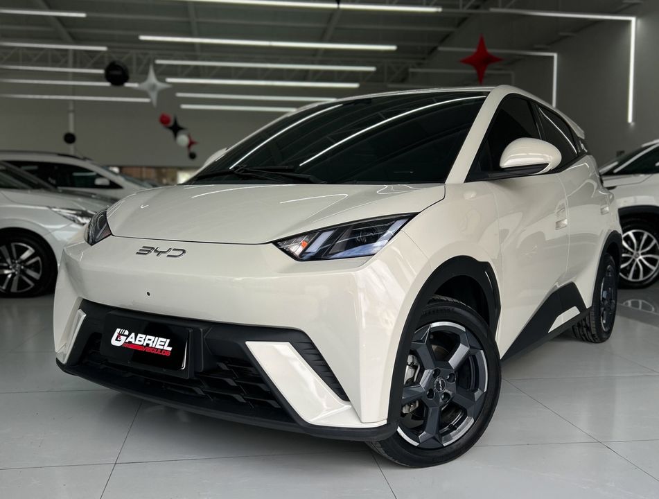 BYD Dolphin Mini GS (Elétrico)