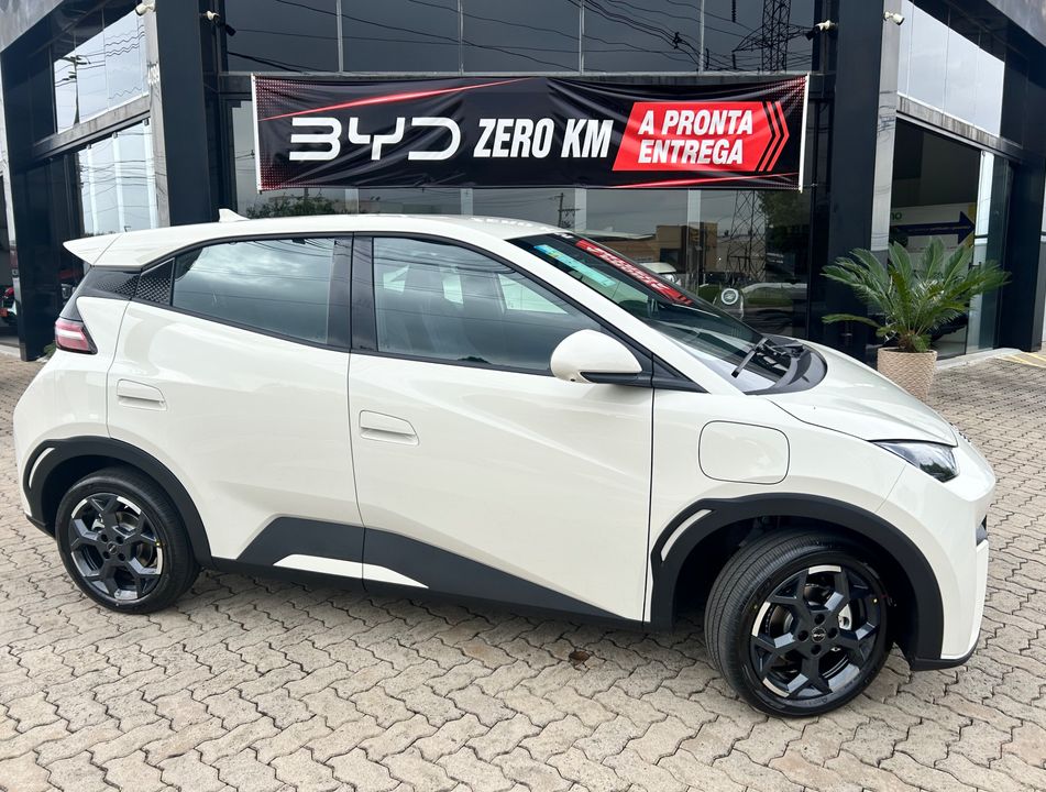 BYD Dolphin Mini GS (Elétrico)