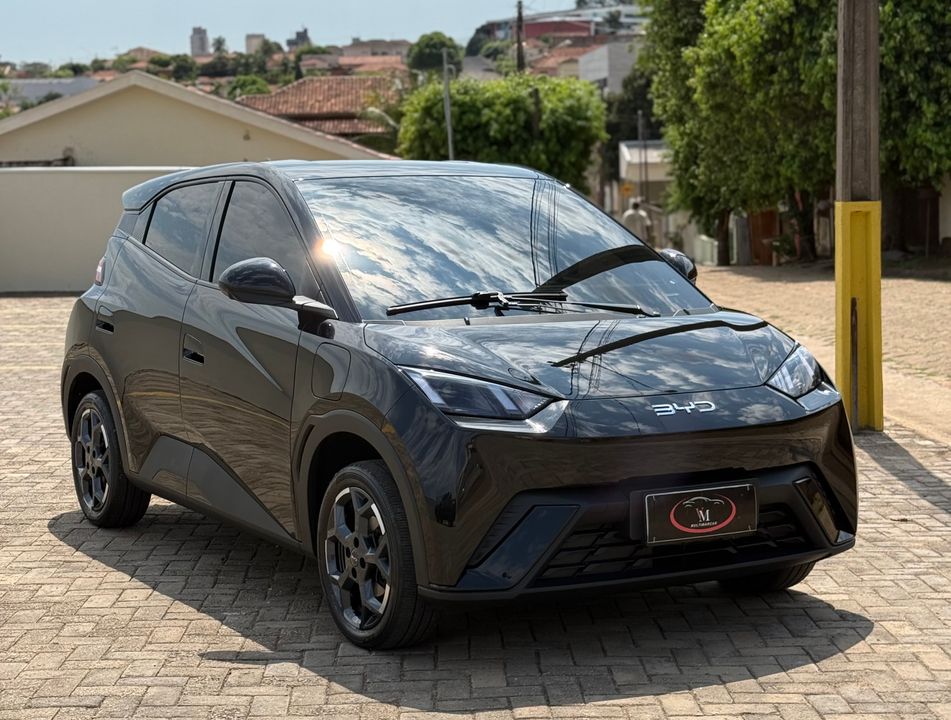 BYD Dolphin Mini GS (Elétrico)