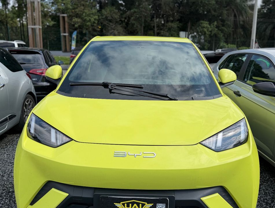 BYD Dolphin Mini GS (Elétrico)
