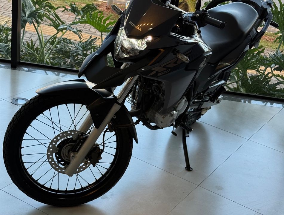 HONDA XRE 300/ 300 ABS/ FLEX