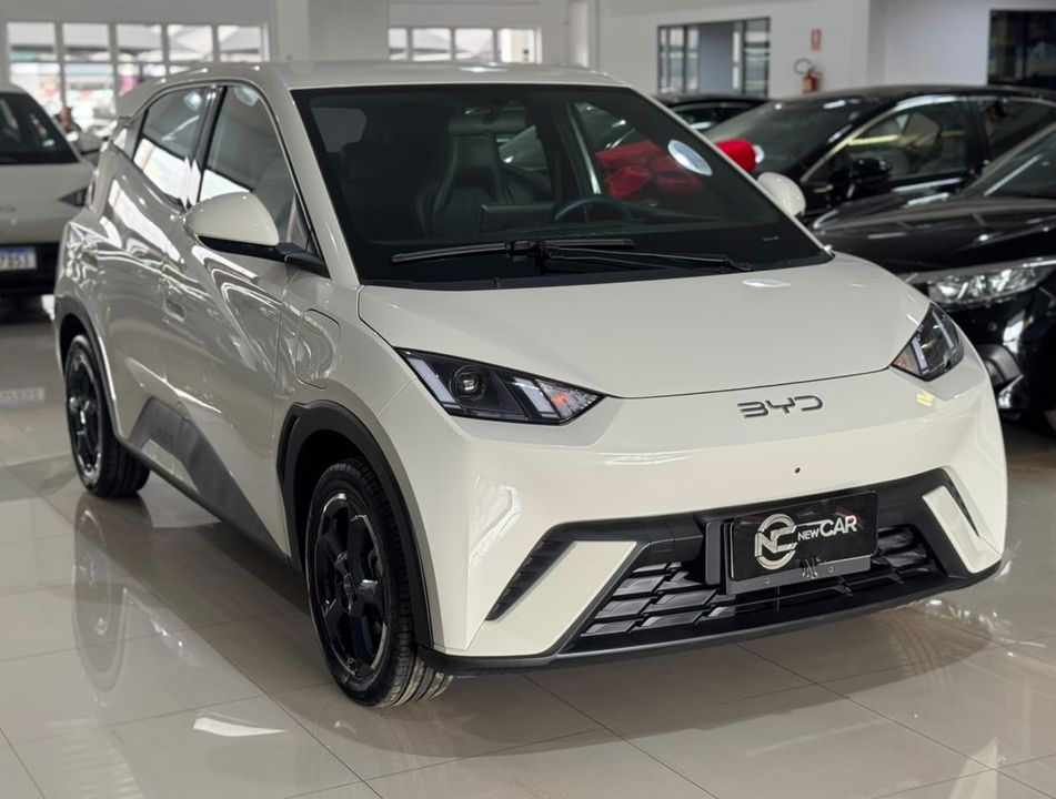 BYD Dolphin Mini GS (Elétrico)