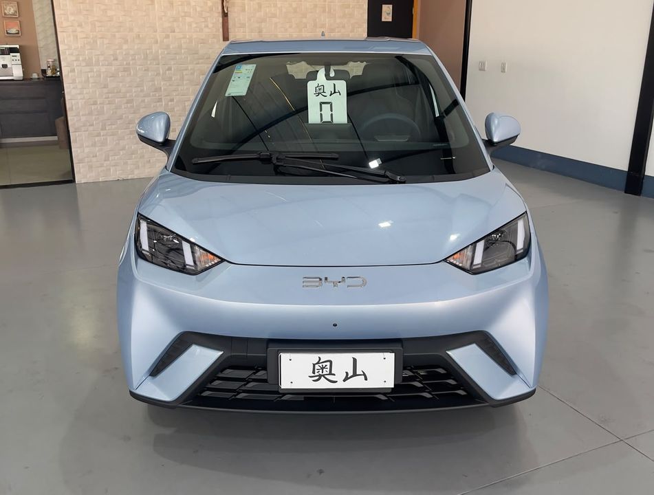 BYD Dolphin Mini GS (Elétrico)