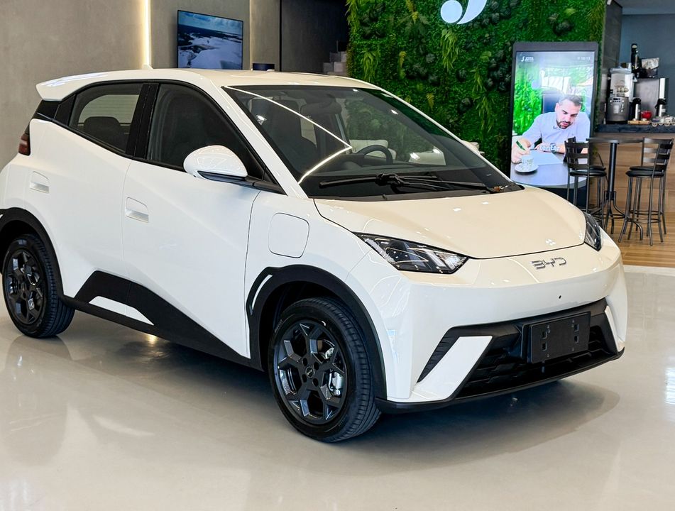 BYD Dolphin Mini GS (Elétrico)