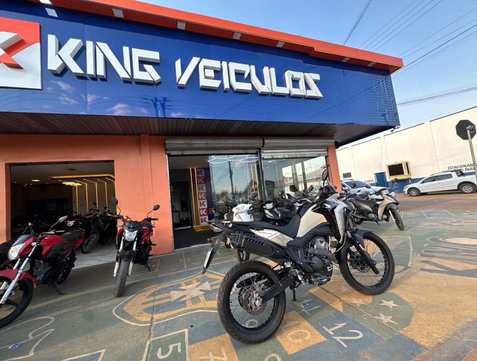 HONDA SAHARA 300 ABS FLEX