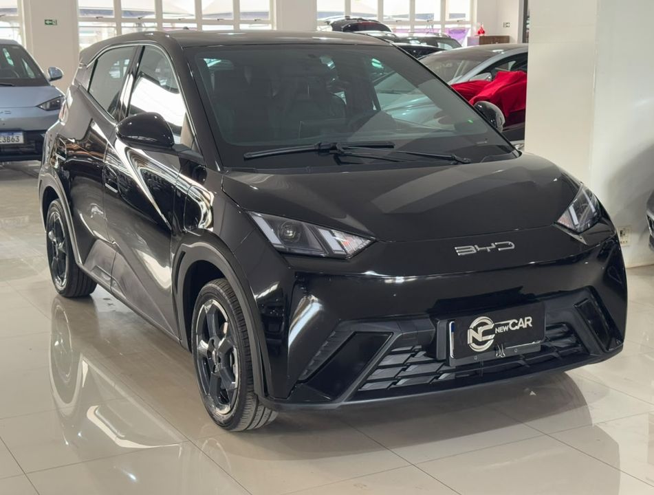 BYD Dolphin Mini GS (Elétrico)