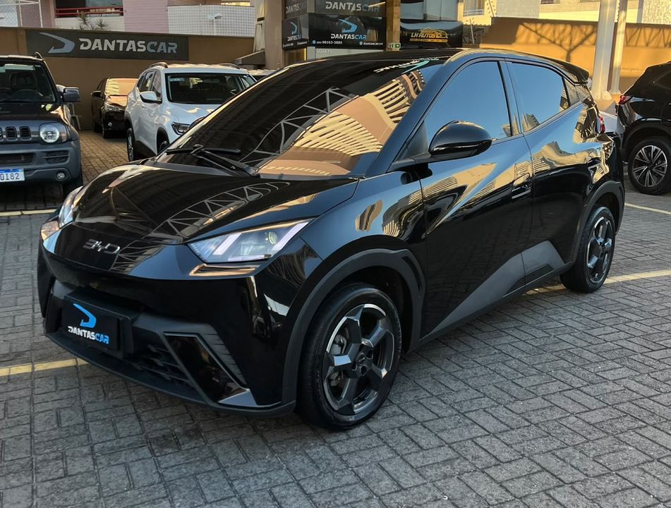 BYD Dolphin Mini GS (Elétrico)