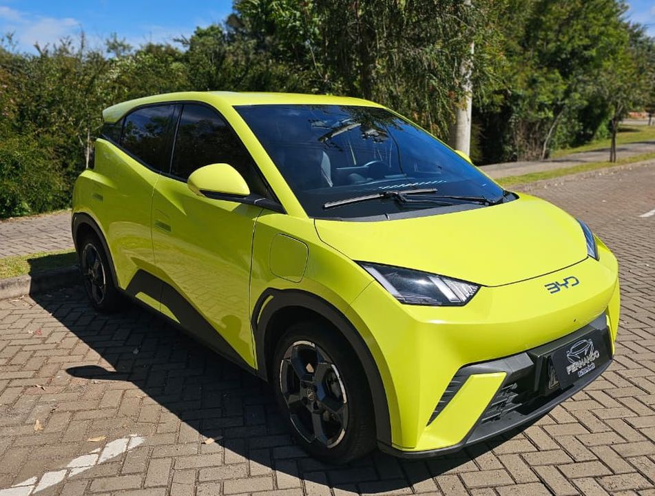 BYD Dolphin Mini GS (Elétrico)