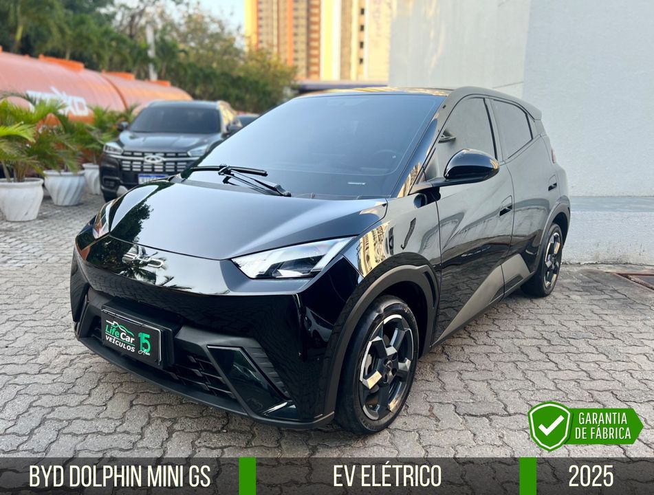 BYD Dolphin Mini GS (Elétrico)
