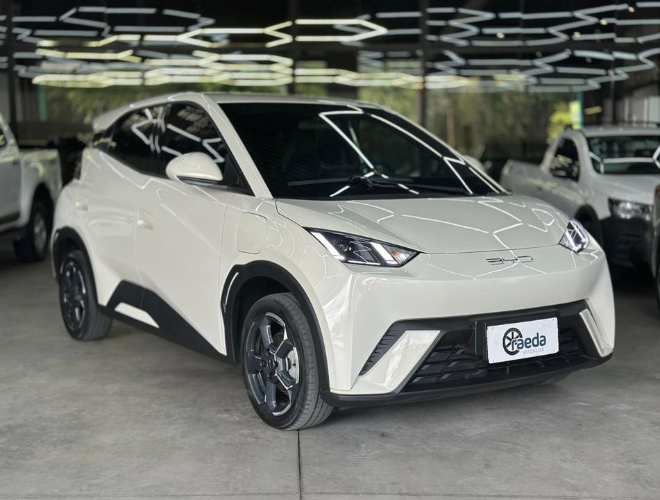 BYD Dolphin Mini (Elétrico)