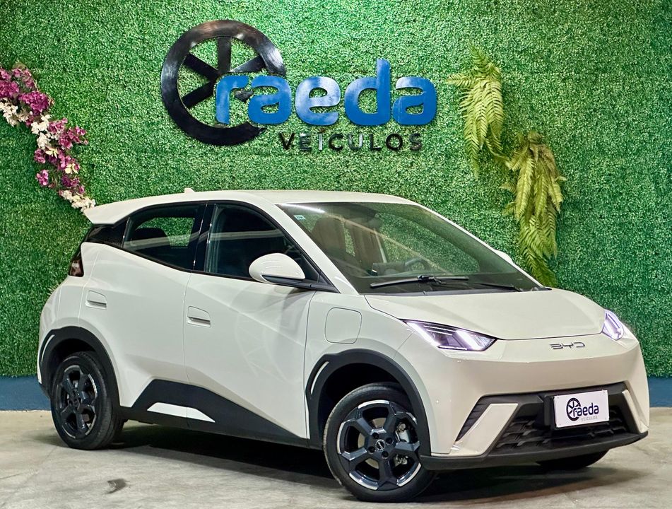 BYD Dolphin Mini (Elétrico)