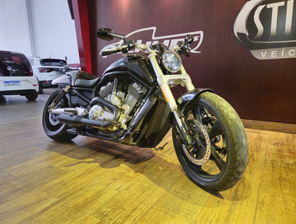 Harley V-ROD 1250cc MUSCLE VRSCF