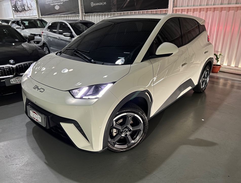 BYD Dolphin Mini (Elétrico)