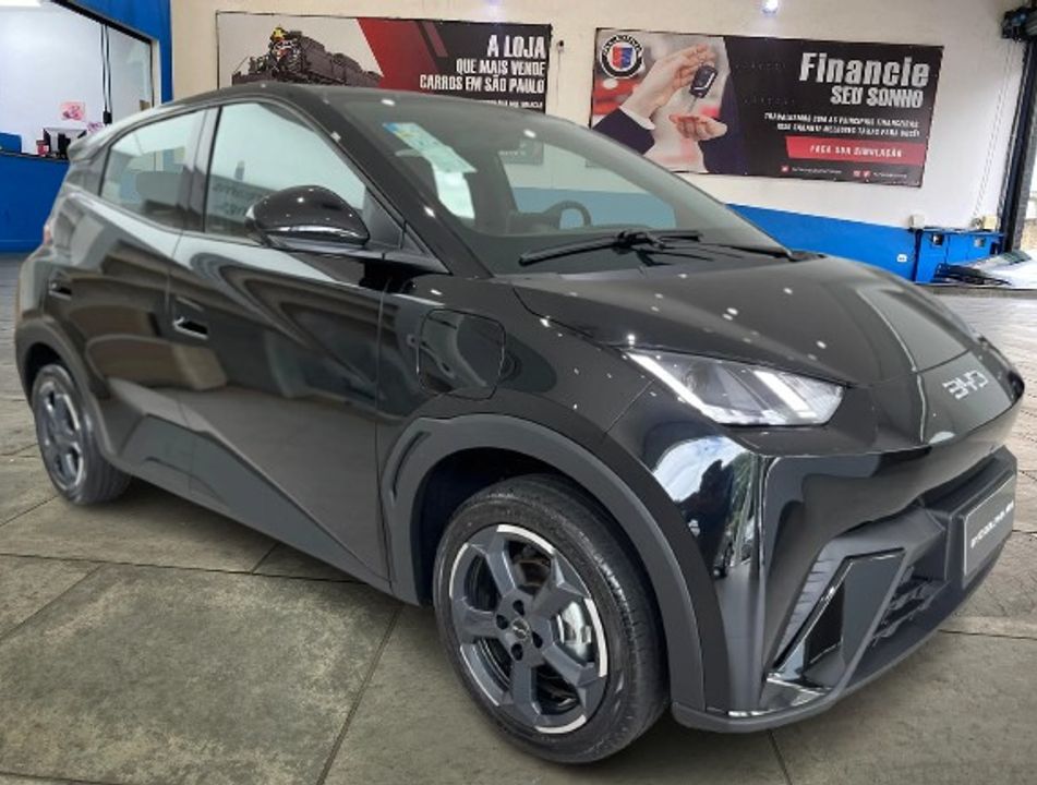 BYD Dolphin Mini (Elétrico)