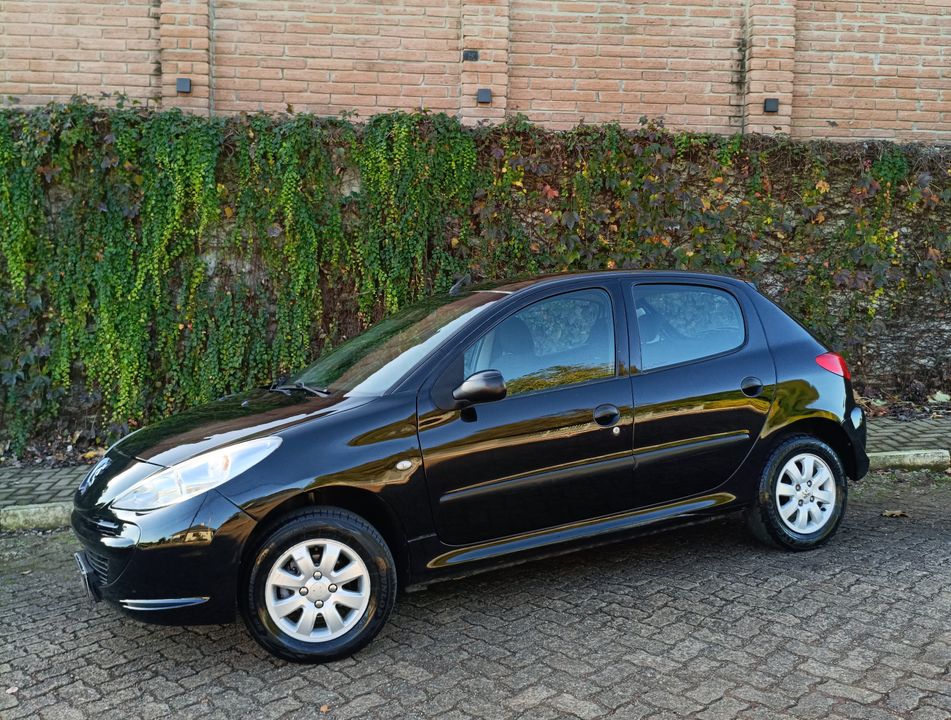 Peugeot 207 Blue Lion 1.4 Flex 8V 5p
