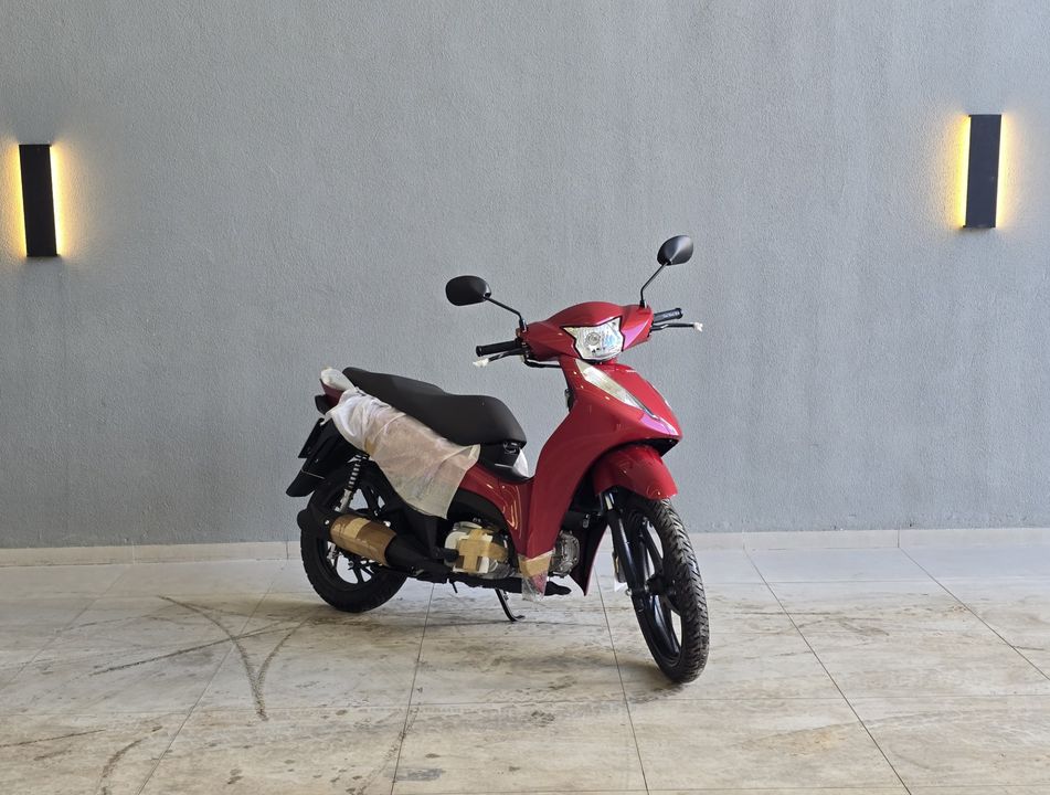 HONDA BIZ 125 EX/ 125 EX FLEX