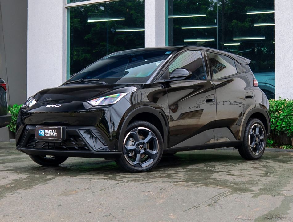 BYD Dolphin Mini (Elétrico)