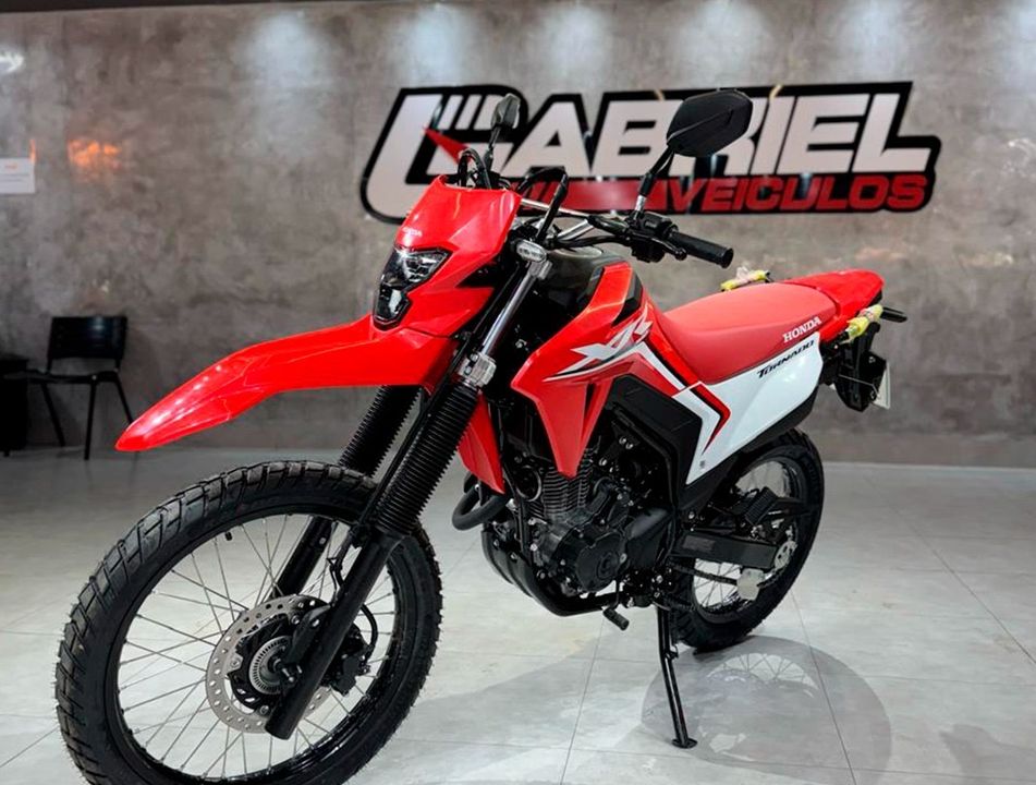 HONDA XR 300L TORNADO FLEX