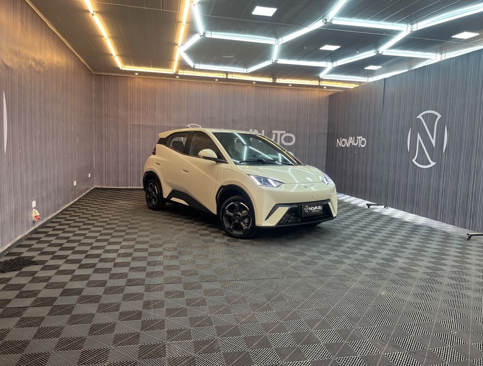 BYD Dolphin Mini (Elétrico)