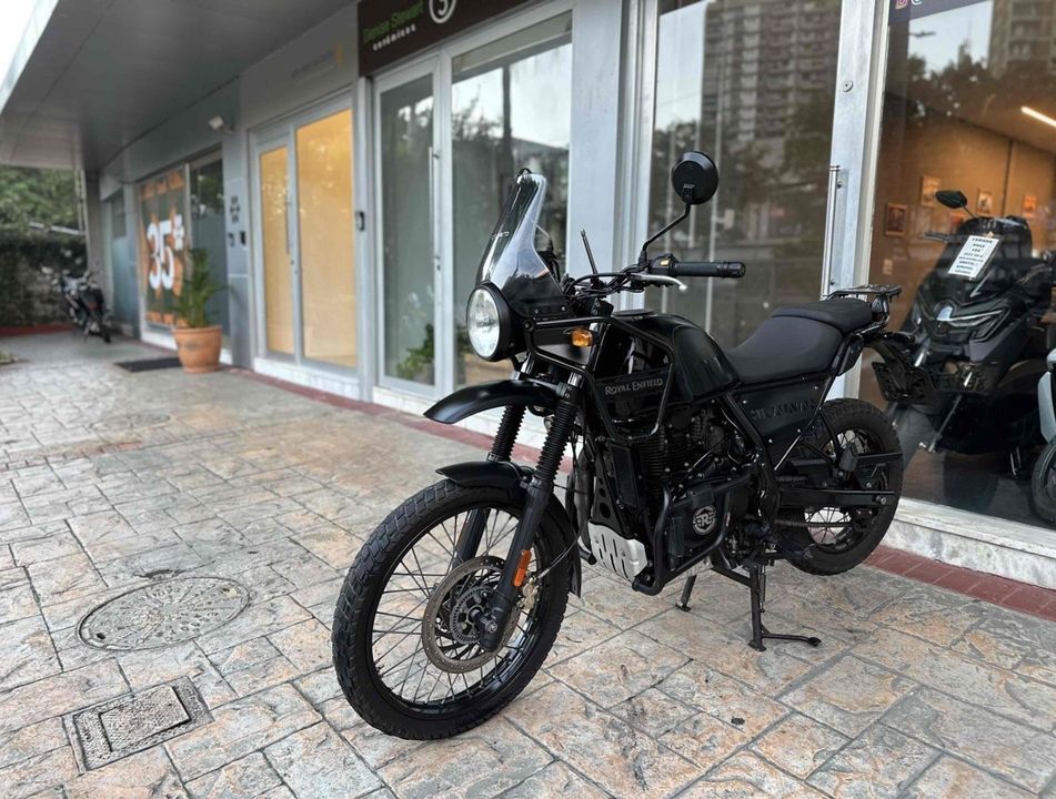 REGAL RAPTOR HIMALAYAN