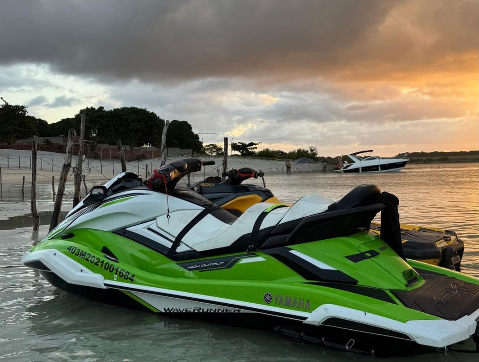 FX CRUISER SVHO WaveRunner