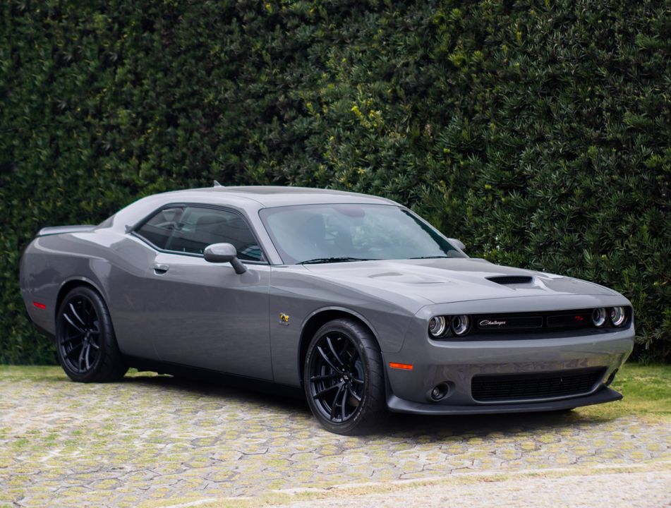 Dodge CHALLENGER RTSP