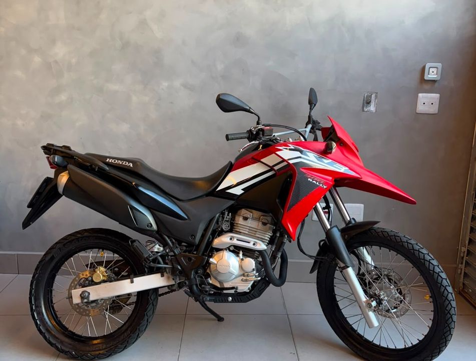 HONDA XRE 300 RALLY FLEX