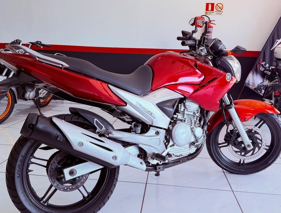 YAMAHA YS 250 FAZER/ FAZER L. EDITION /BLUEFLEX