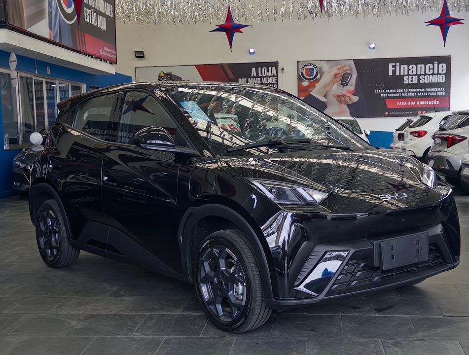 BYD Dolphin Mini (Elétrico)
