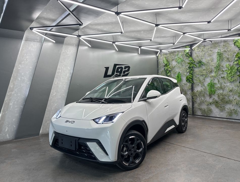 BYD Dolphin Mini (Elétrico)