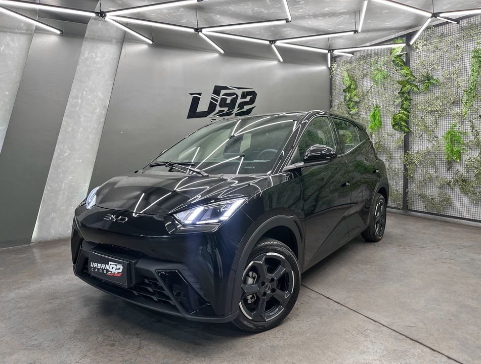 BYD Dolphin Mini (Elétrico)