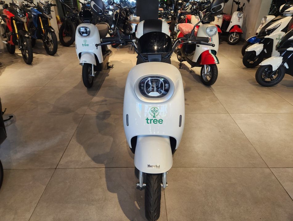 TREE AUTOPROPELIDO MOTORINO 1000W 