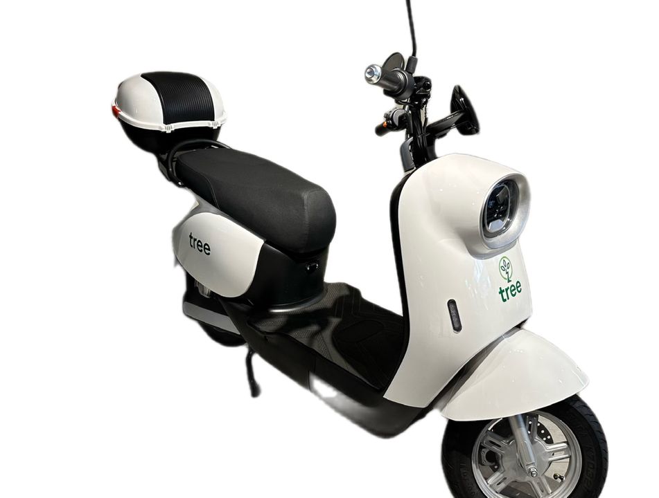 TREE AUTOPROPELIDO MOTORINO 1000W 