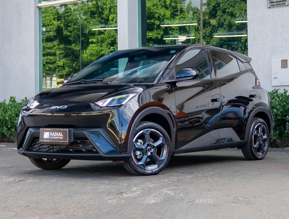 BYD Dolphin Mini (Elétrico)