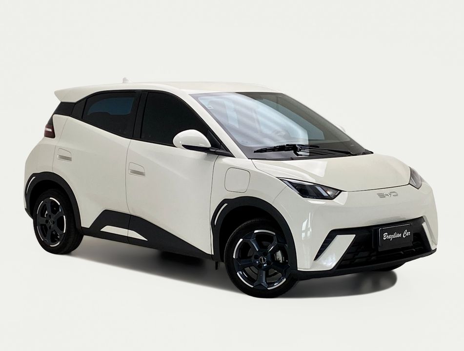 BYD Dolphin Mini (Elétrico)
