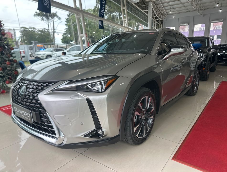 Lexus UX-250h Luxury 2.0 16V Aut. (Híbrido)