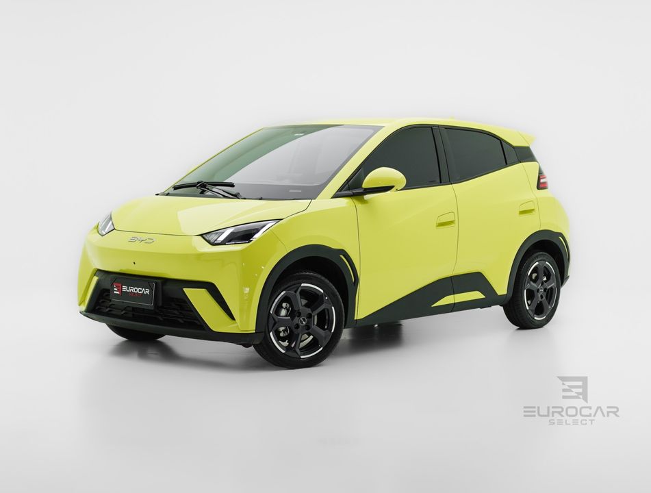 BYD Dolphin Mini (Elétrico)