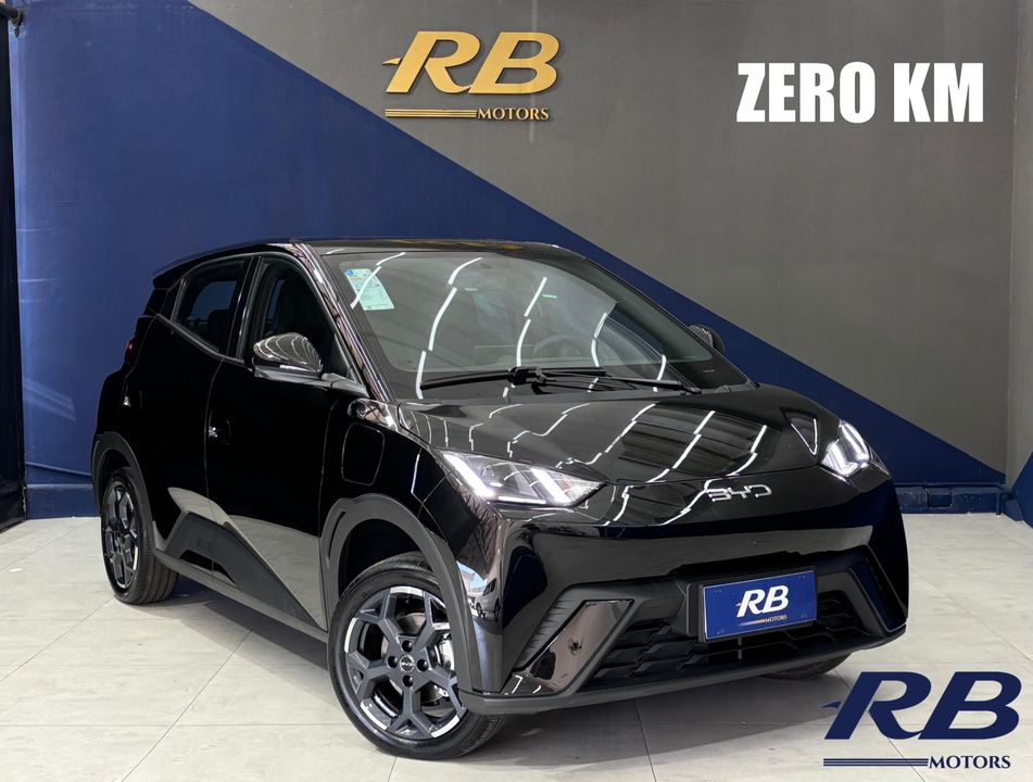 BYD Dolphin Mini (Elétrico)