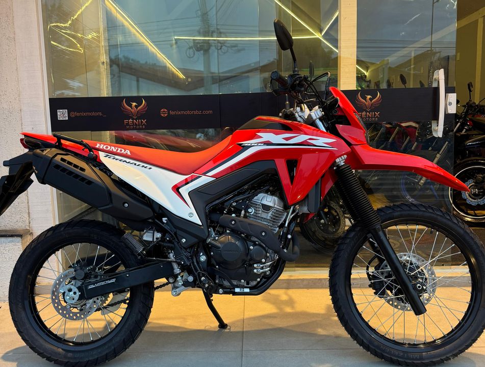 HONDA XR 300L TORNADO FLEX