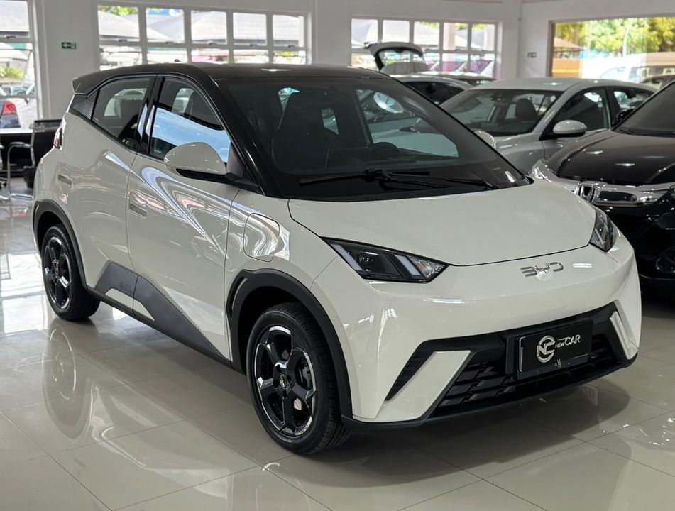BYD Dolphin Mini (Elétrico)