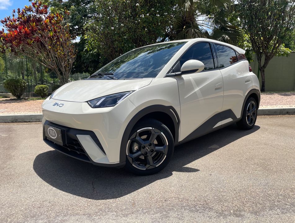 BYD Dolphin Mini (Elétrico)