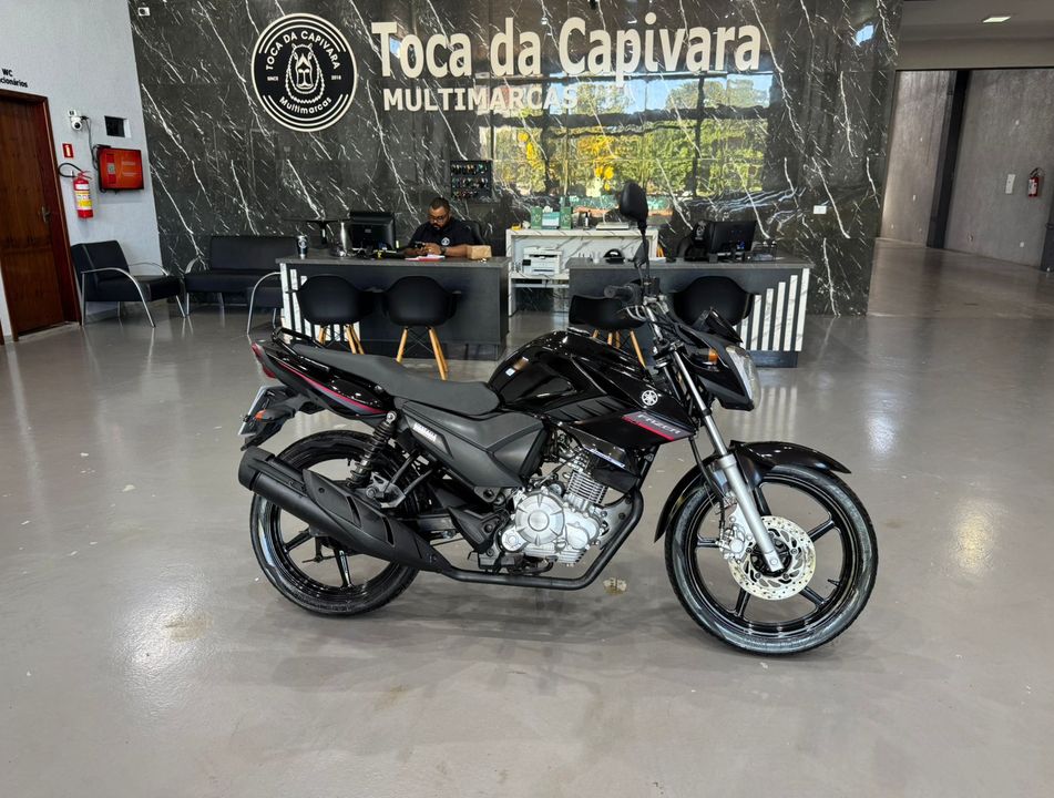 YAMAHA YS 150 FAZER ED/FLEX