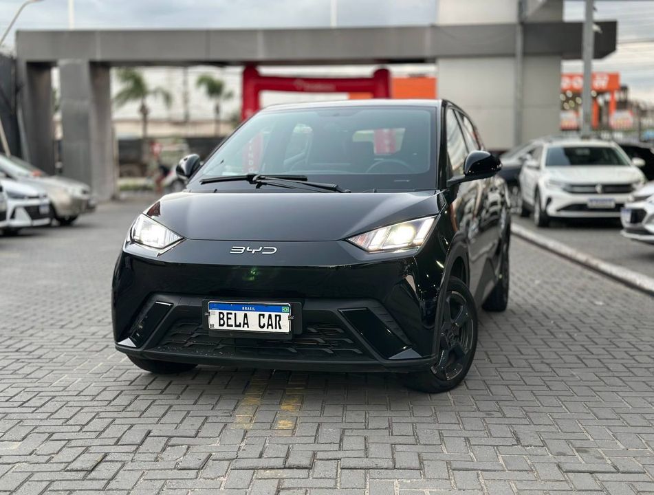 BYD Dolphin Mini (Elétrico)