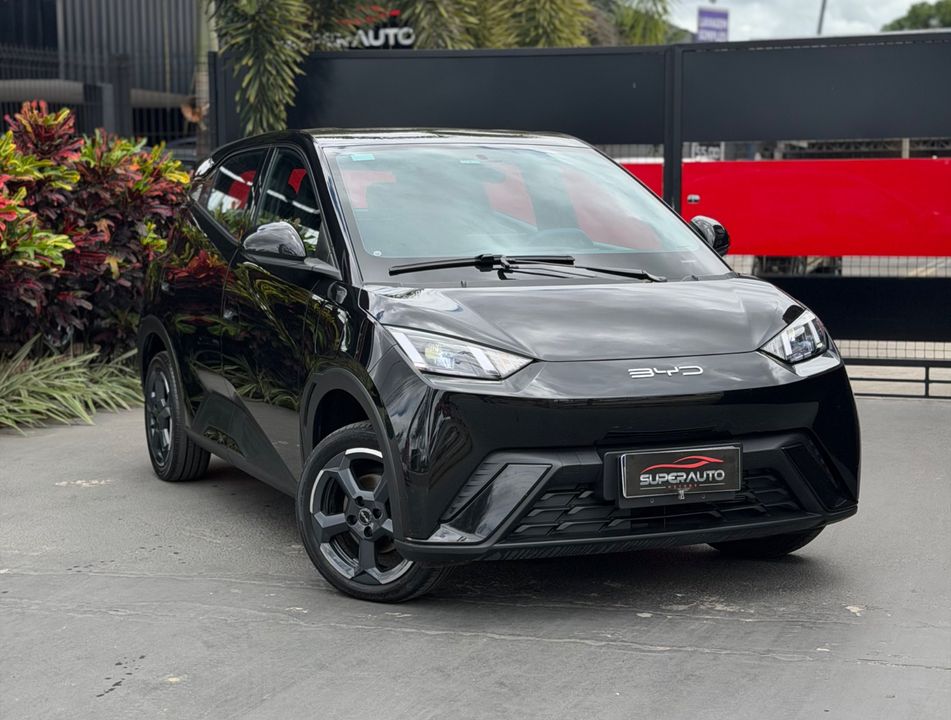 BYD Dolphin Mini (Elétrico)
