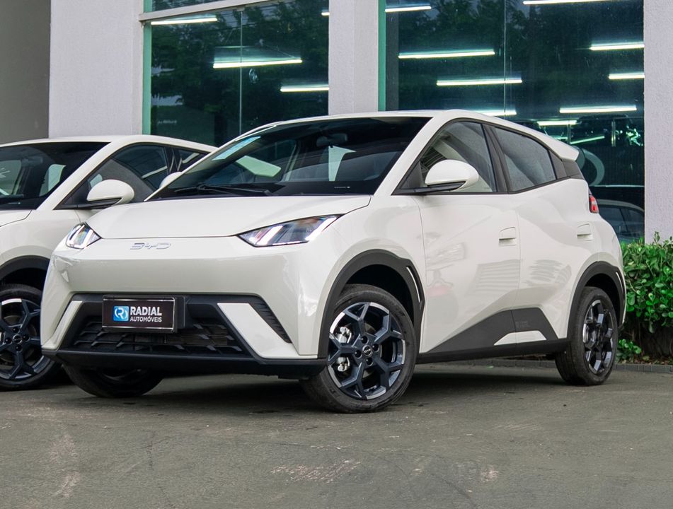 BYD Dolphin Mini (Elétrico)