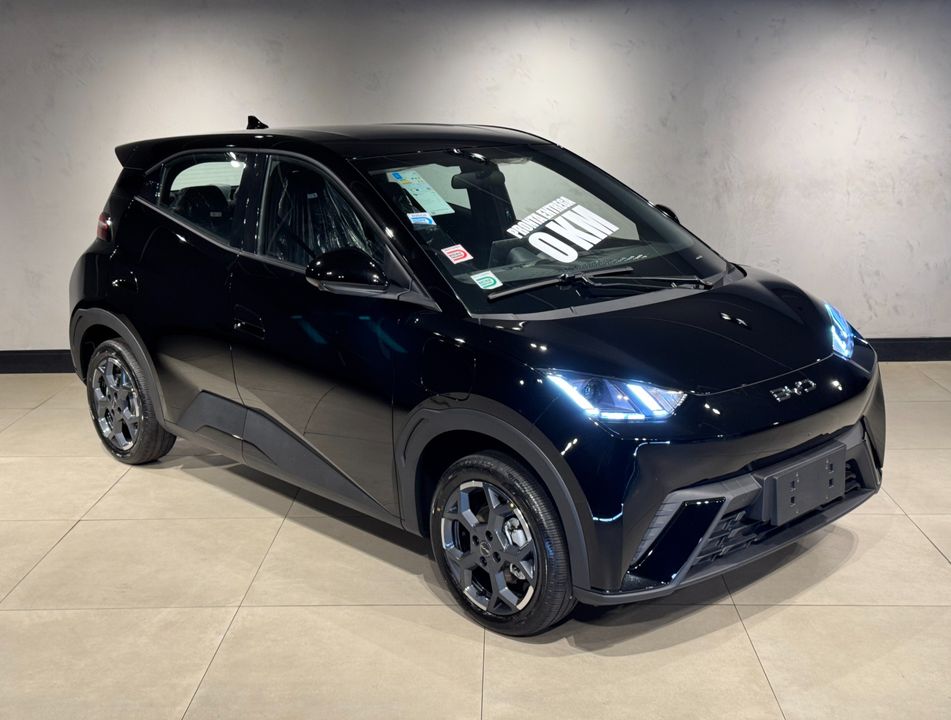 BYD DOLPHIN MINI seats