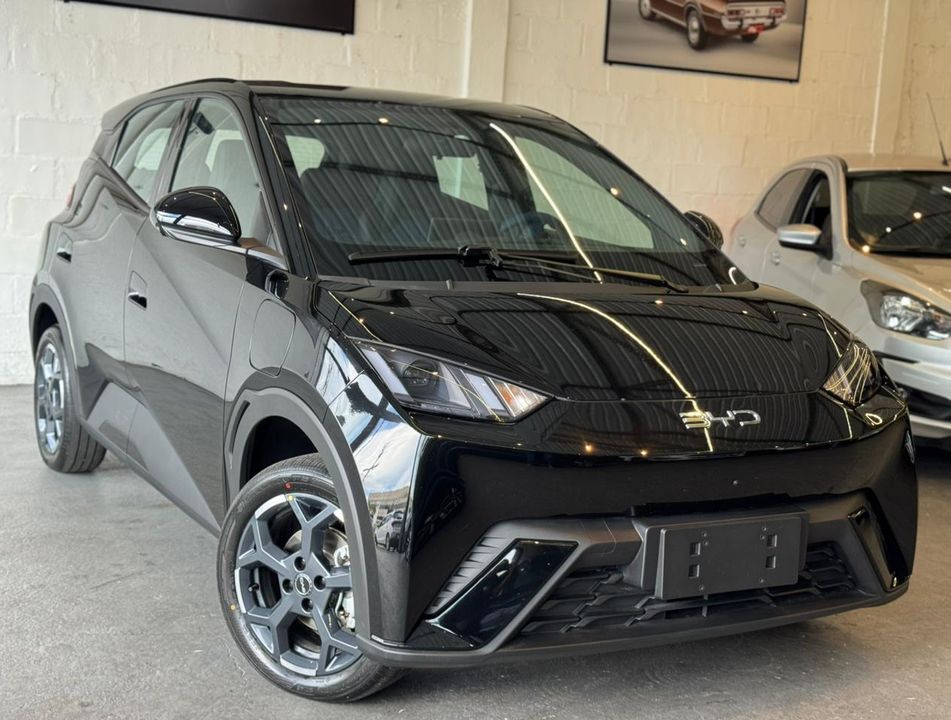 BYD Dolphin Mini (Elétrico)