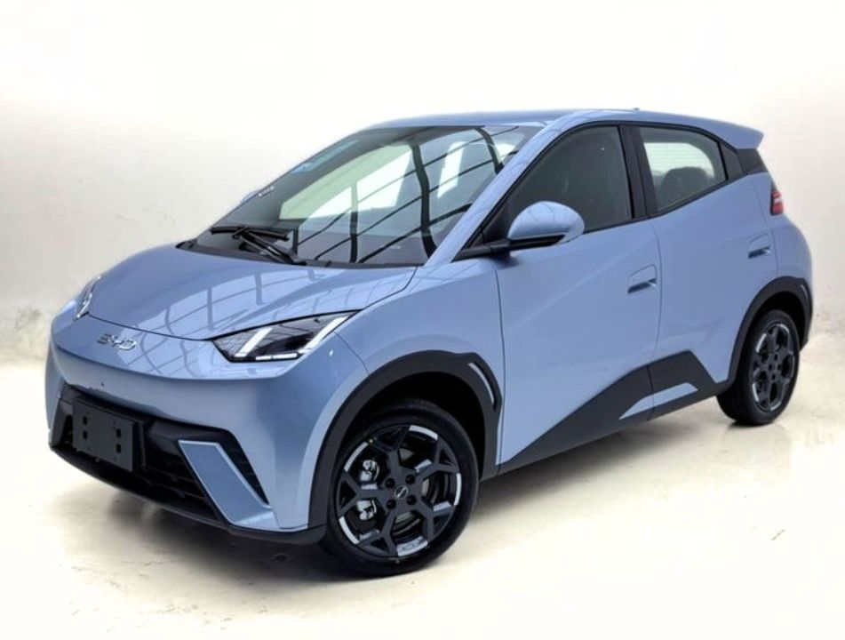 BYD DOLPHIN MINI 5 SEATS