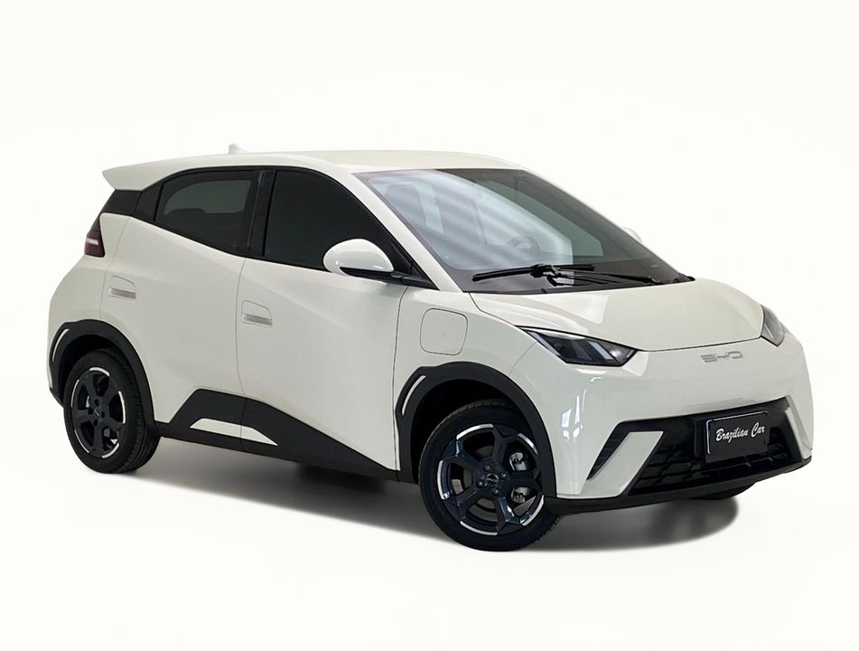 BYD Dolphin Mini (Elétrico)
